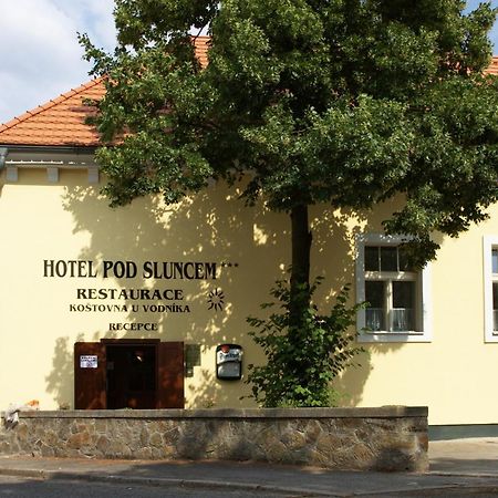 Hotel Pod Sluncem Třebíz Exterior foto